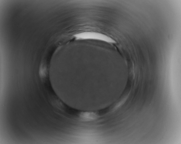 X0000089860137200707191927