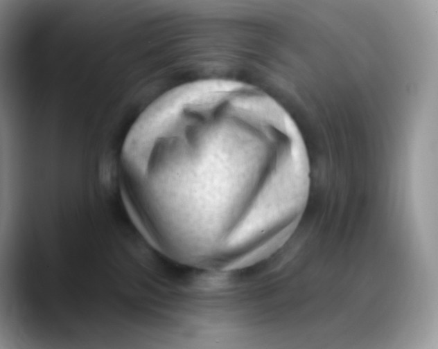 X0000089860138200707191927