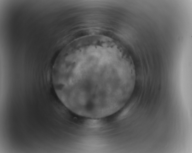 X0000089860139200707191927