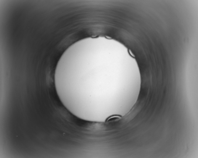 X0000089860140200707191927