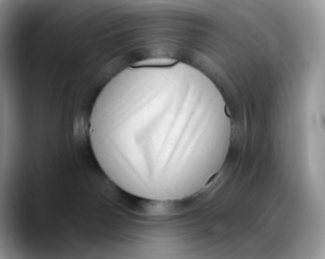 X0000089860142200707191927