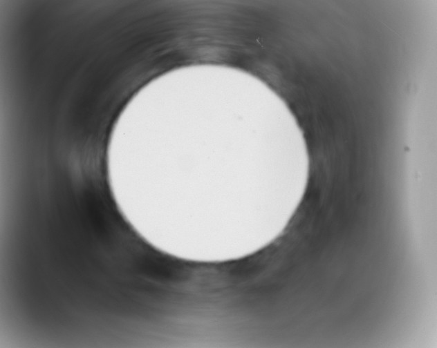 X0000089860146200707191926