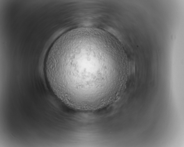 X0000089860147200707191926