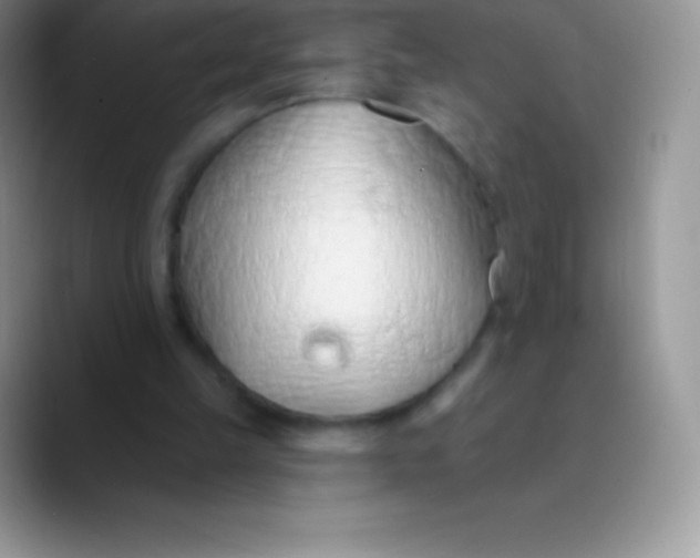 X0000089860149200707191926