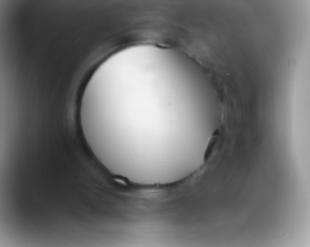 X0000089860150200707191926