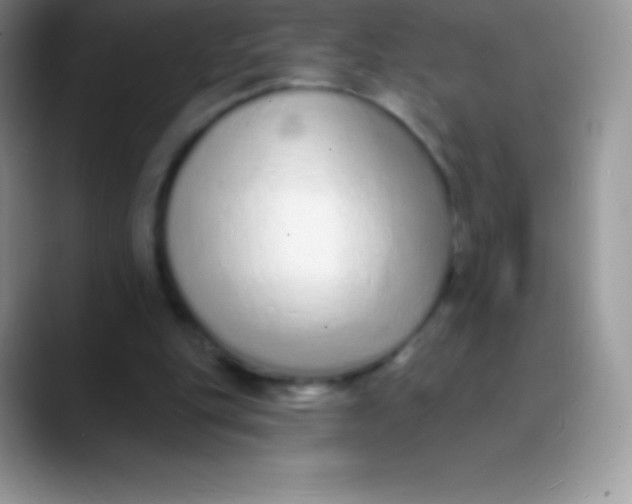 X0000089860151200707191926