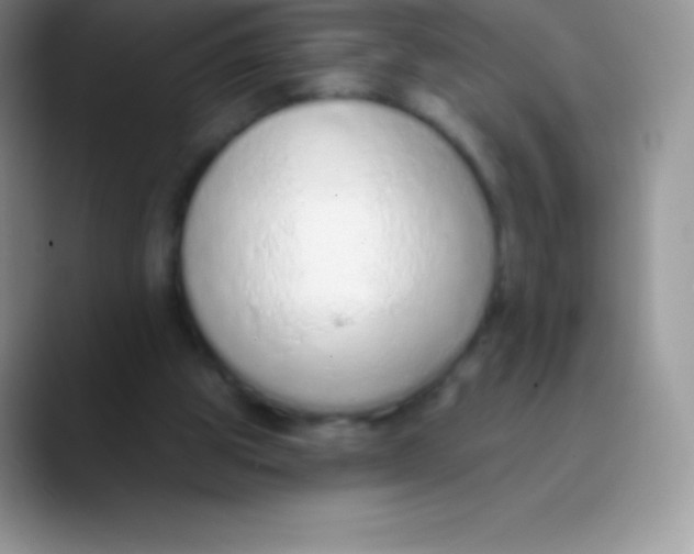 X0000089860153200707191926