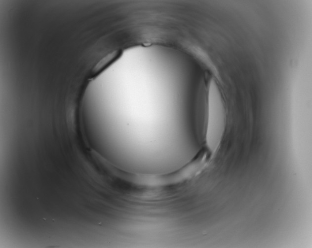 X0000089860154200707191926