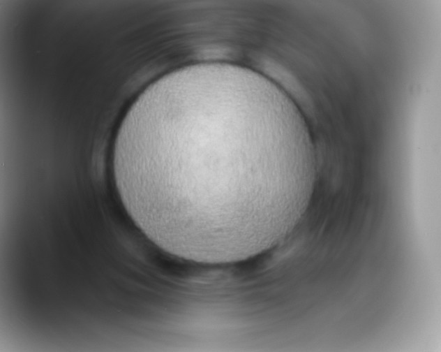 X0000089860155200707191927