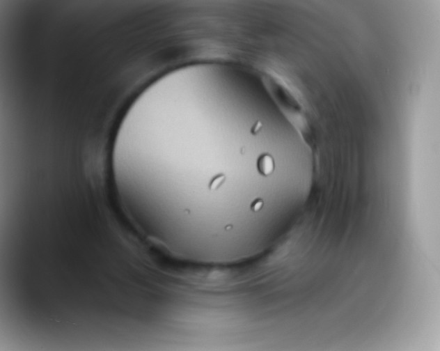 X0000089860156200707191927