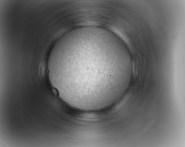 X0000089860157200707191927