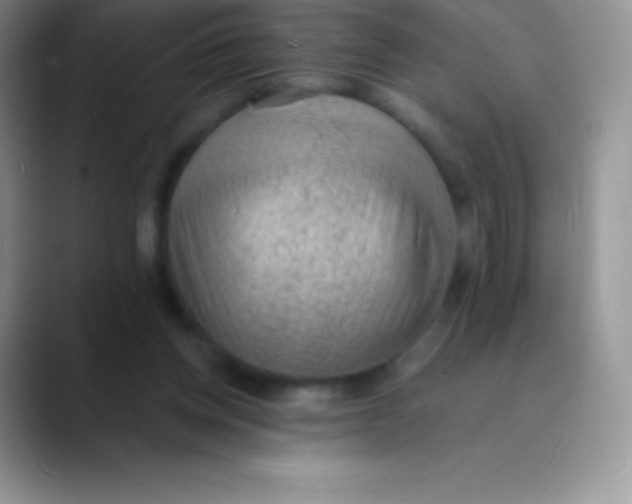 X0000089860158200707191927