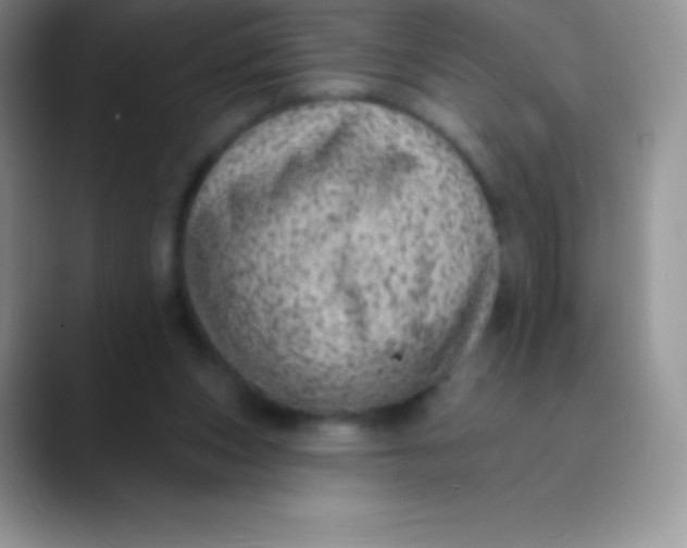 X0000089860159200707191927