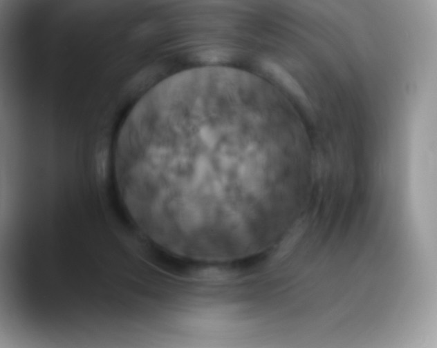 X0000089860163200707191927