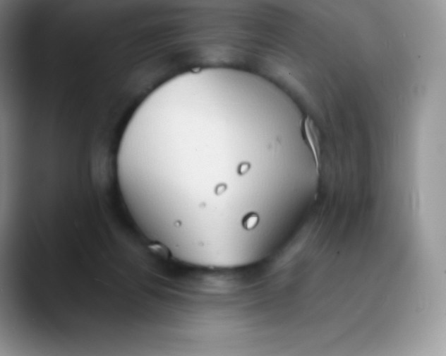 X0000089860164200707191927