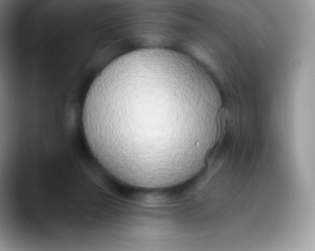 X0000089860165200707191927