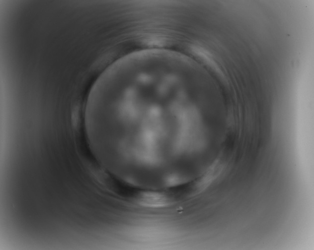 X0000089860167200707191927