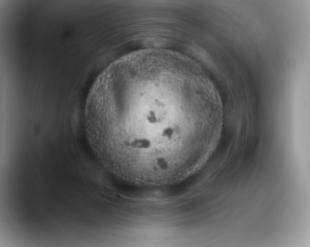 X0000089860169200707191927