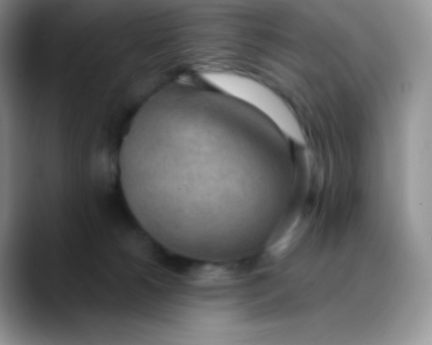 X0000089860180200707191927