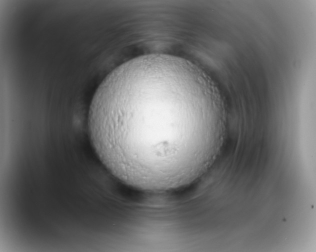 X0000089860181200707191927