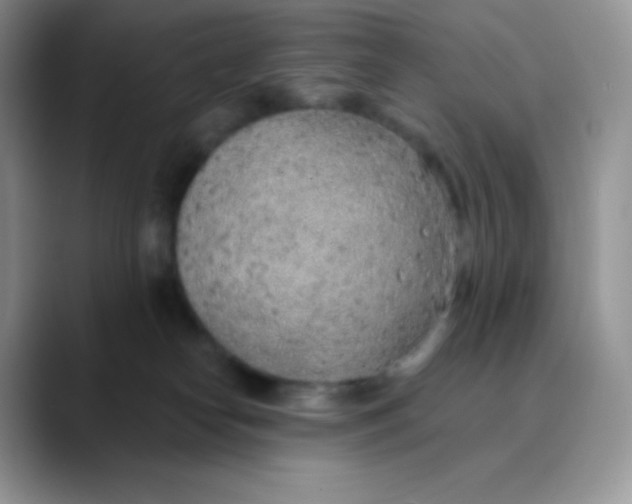 X0000089860182200707191927