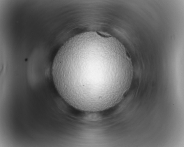 X0000089860185200707191927