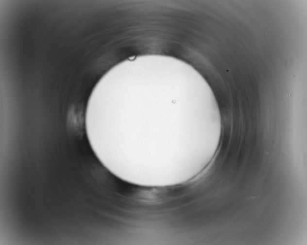 X0000089860190200707191927