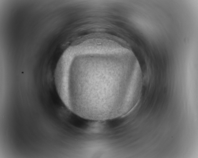 X0000089860191200707191927