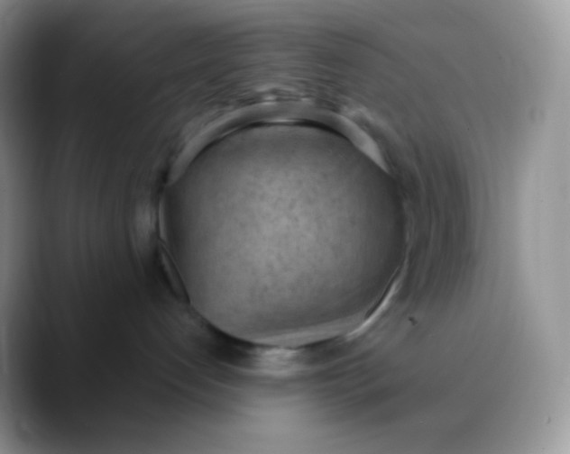 X0000089860192200707191927