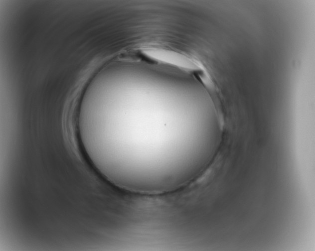 X0000089860193200707191926