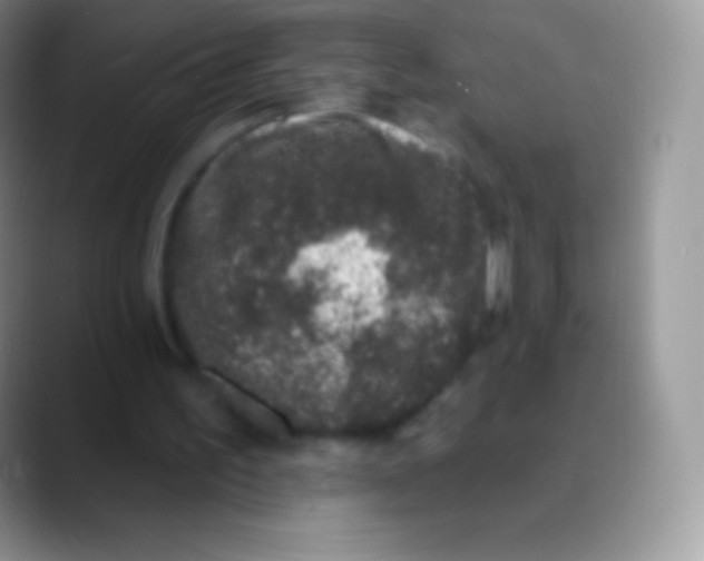 X0000089860195200707191926