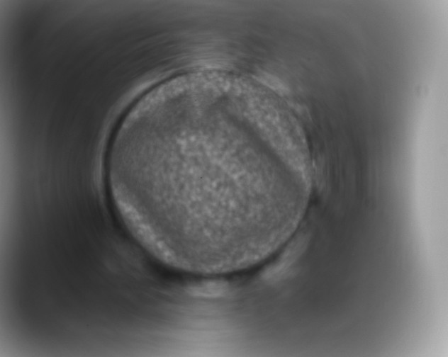 X0000089860196200707191926