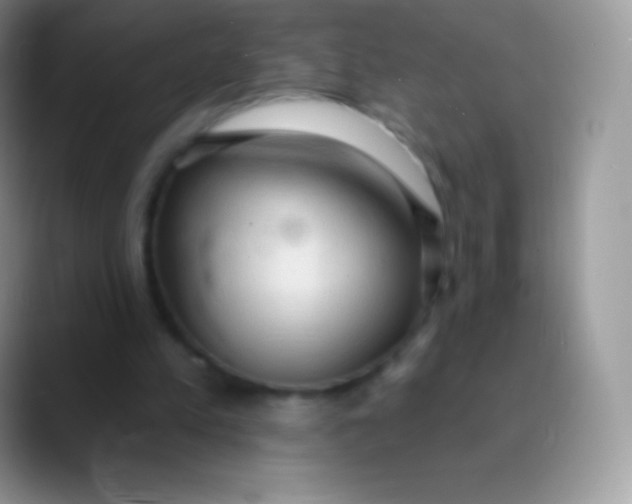 X0000089860197200707191926