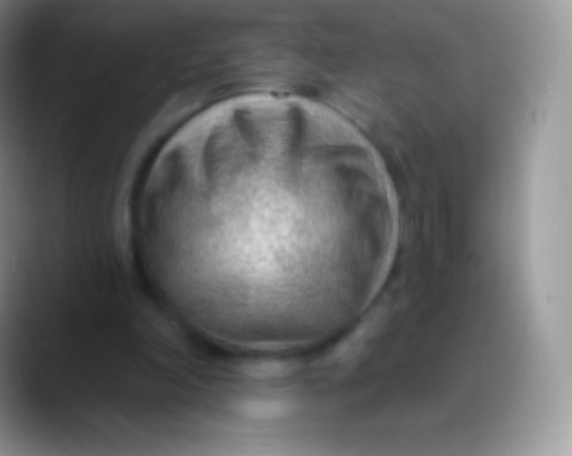 X0000089860198200707191926