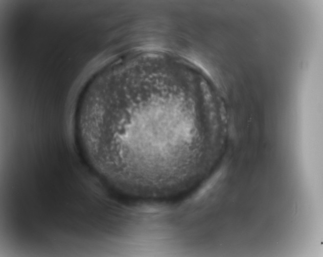 X0000089860199200707191926