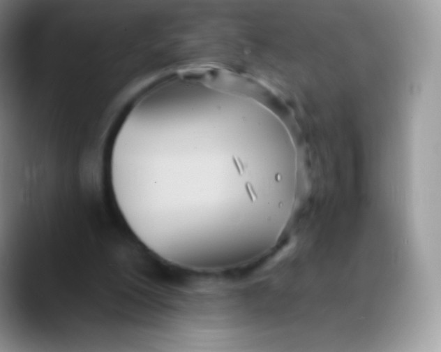 X0000089860200200707191926