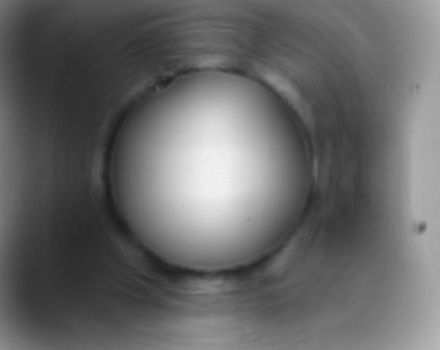 X0000089860201200707191926