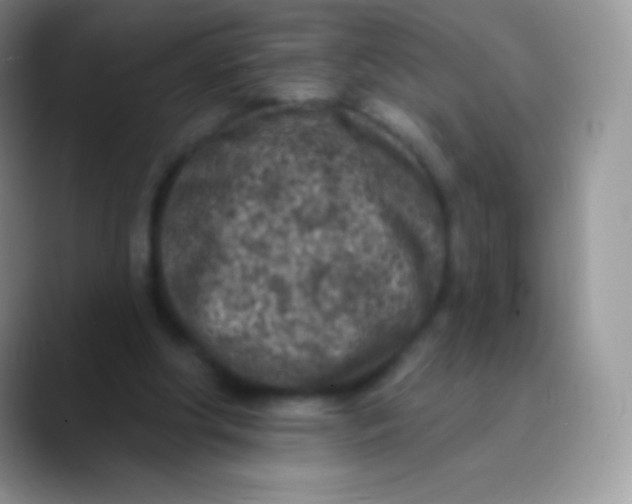 X0000089860202200707191926