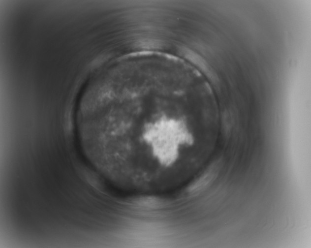 X0000089860203200707191926