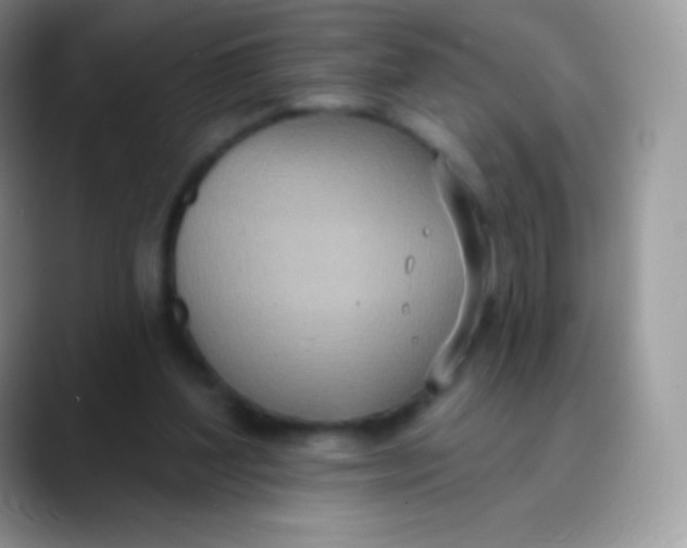 X0000089860204200707191926