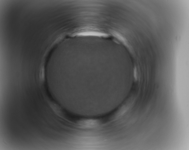 X0000089860205200707191926