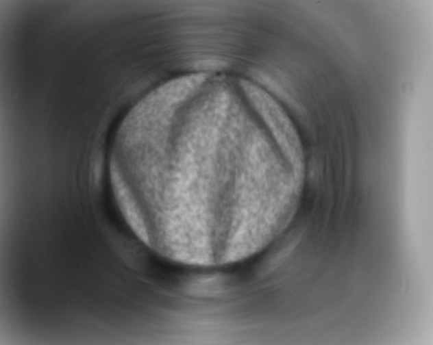 X0000089860206200707191926