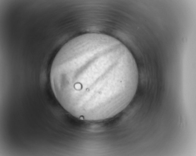 X0000089860208200707191926