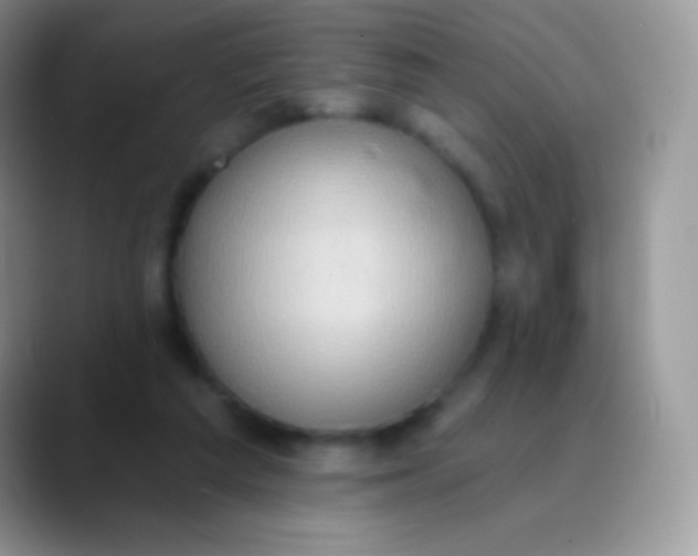 X0000089860209200707191926