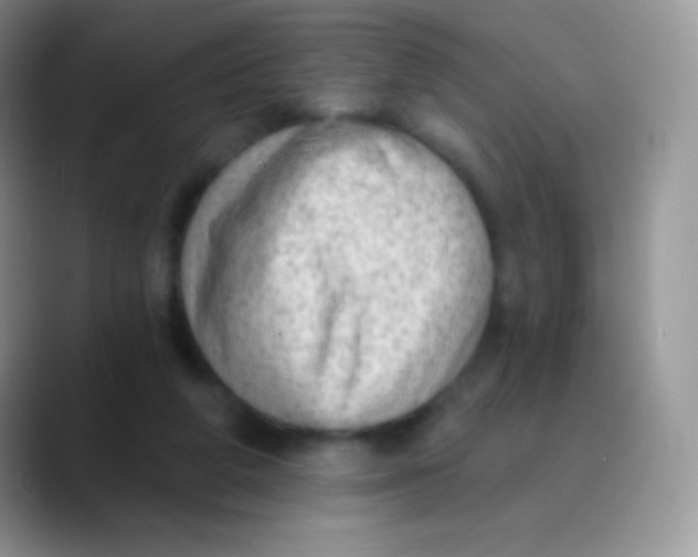 X0000089860210200707191926