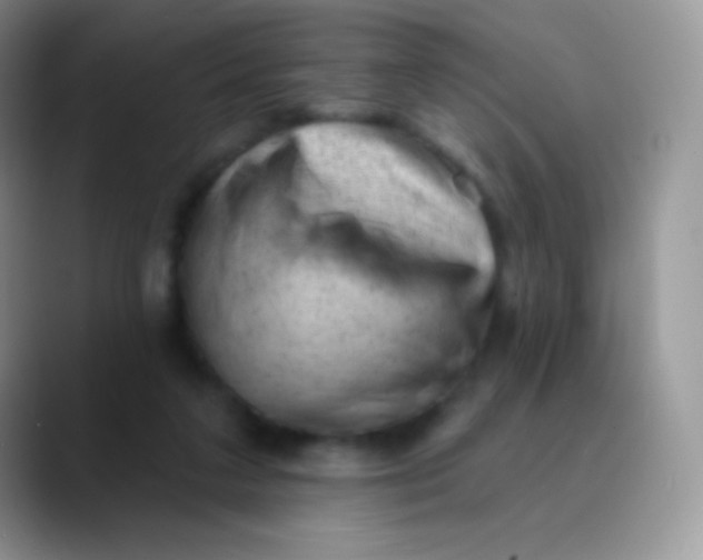 X0000089860211200707191926