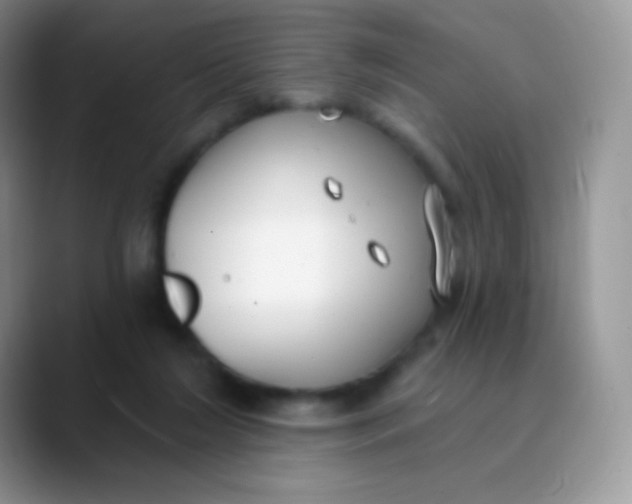 X0000089860212200707191926