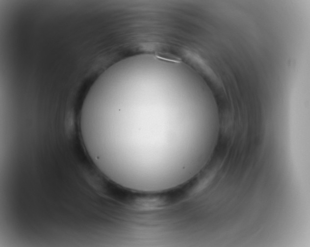 X0000089860213200707191926