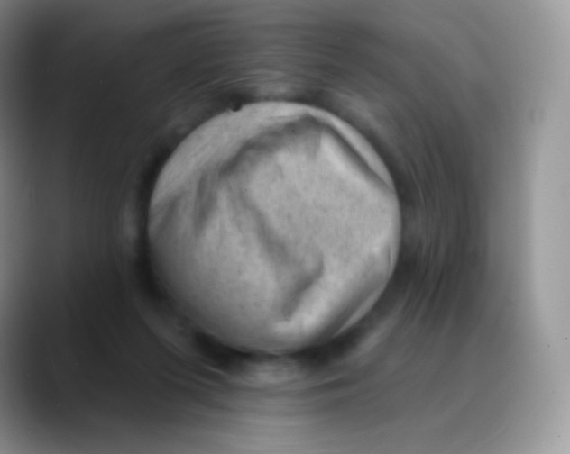 X0000089860215200707191926