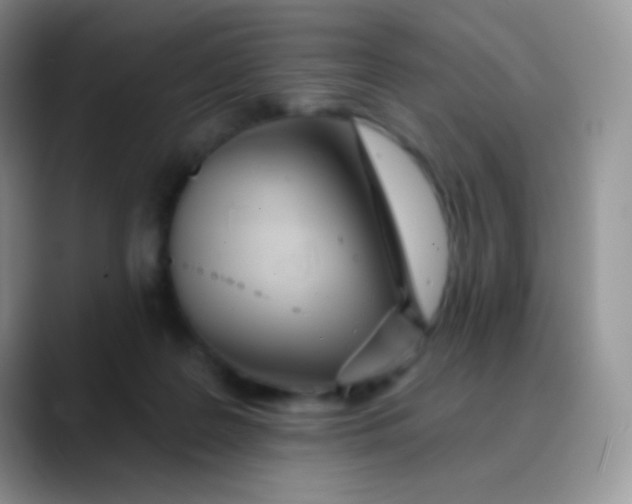 X0000089860219200707191926